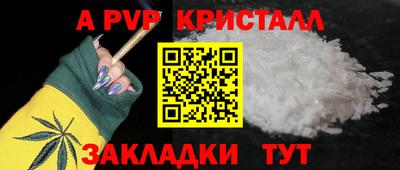 стаф Кандалакша